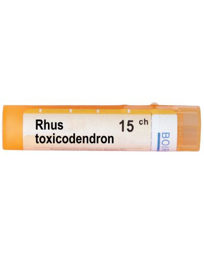 Rhus toxicodendron 15CH, Boiron - 1