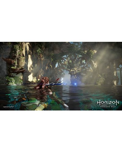 Horizon Forbidden West (PS5) - 4