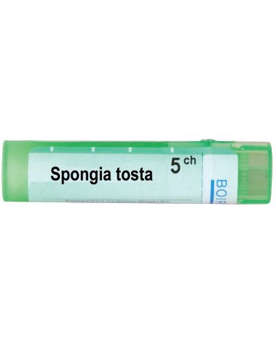 Spongia tosta 5CH, Boiron - 1