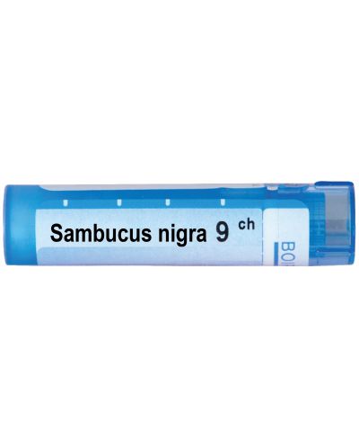 Sambucus nigra 9CH, Boiron - 1