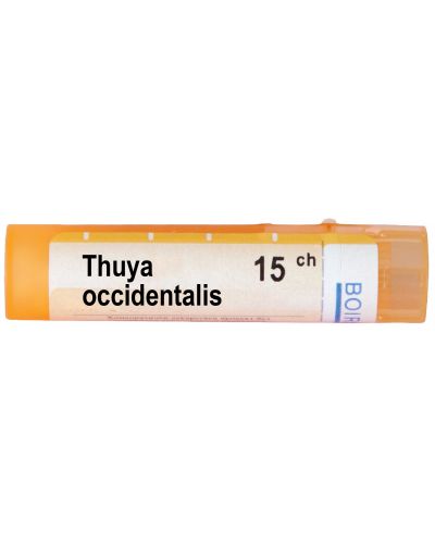 Thuya occidentalis 15CH, Boiron - 1