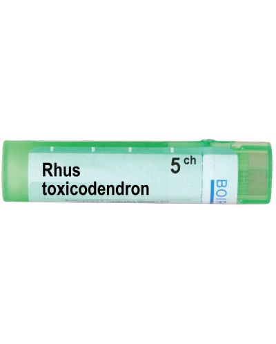 Rhus toxicodendron 5CH, Boiron - 1