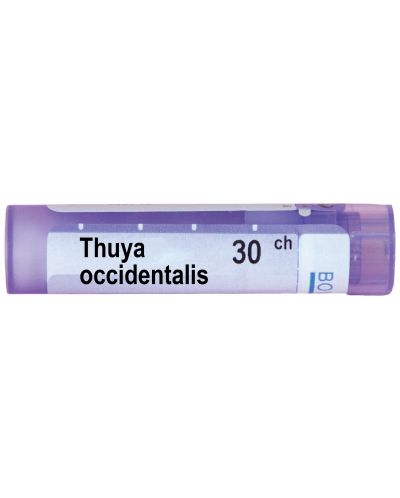 Thuya occidentalis 30CH, Boiron - 1