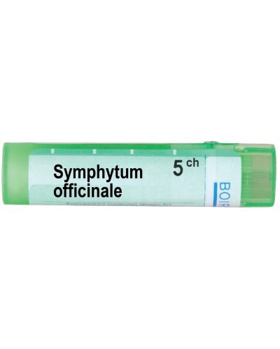 Symphytum officinale 5CH, Boiron - 1