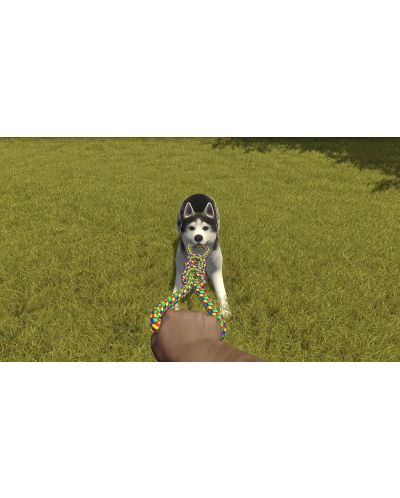 House Flipper - Pets Edition (PS4) - 10