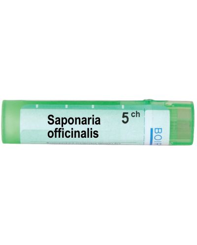 Saponaria officinalis 5CH, Boiron - 1