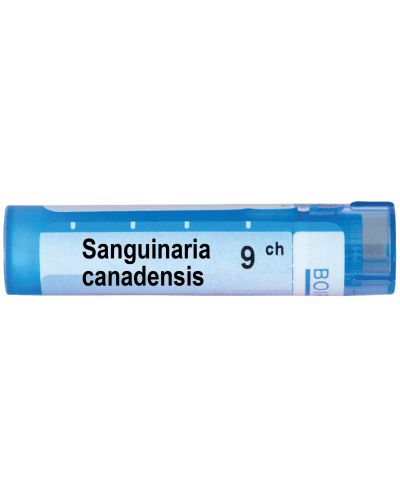 Sanguinaria canadensis 9CH, Boiron - 1
