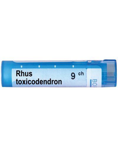 Rhus toxicodendron 9CH, Boiron - 1