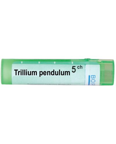 Trillium pendulum 5CH, Boiron - 1