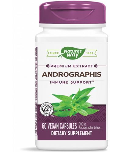 Andrographis, 400 mg, 60 капсули, Nature’s Way - 1