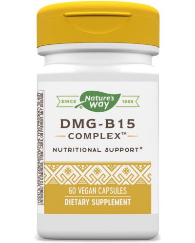 DMG-B15 Complex, 60 капсули, Nature's Way - 1