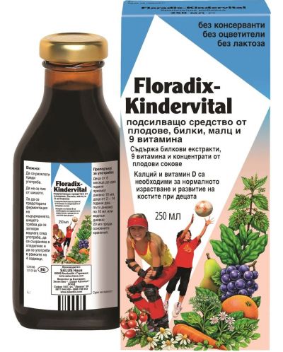 Kindervital, 250 ml, Floradix - 1