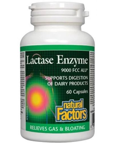 Lactase Enzyme, 250 mg, 60 капсули, Natural Factors - 1