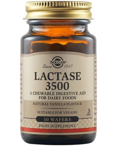 Lactase 3500, 30 дъвчащи таблетки, Solgar - 1