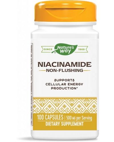 Niacinamide, 500 mg, 100 капсули, Nature's Way - 1