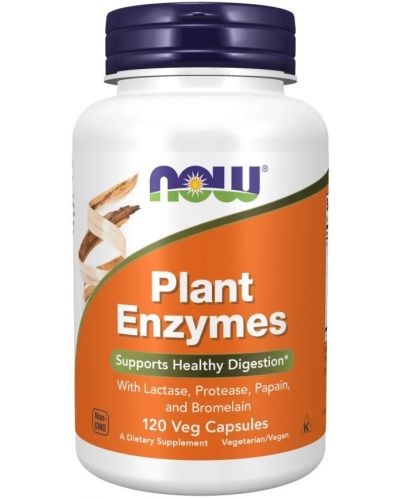 Plant Enzymes, 120 растителни капсули, Now - 1