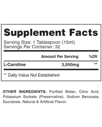 Liquid Carnitine 3000, синя малина, 480 ml, Gaspari Nutrition - 2