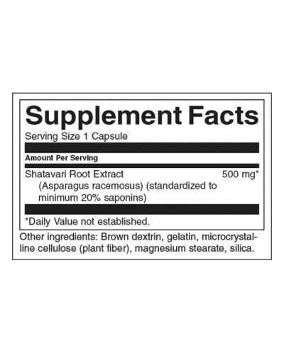 Shatavari Root Extract, 500 mg, 120 капсули, Swanson - 2