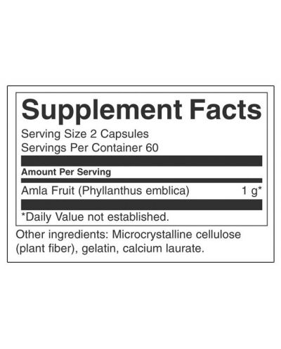 Full Spectrum Amla Fruit, 500 mg, 120 капсули, Swanson - 2