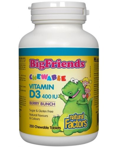 Big Friends Vitamin D3, 400 IU, 250 дъвчащи таблетки, Natural Factors - 1