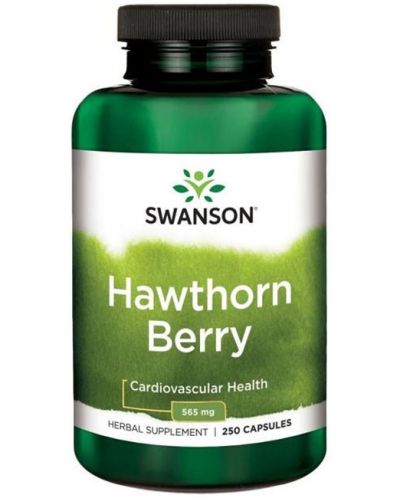 Hawthorn Berries, 565 mg, 250 капсули, Swanson - 1