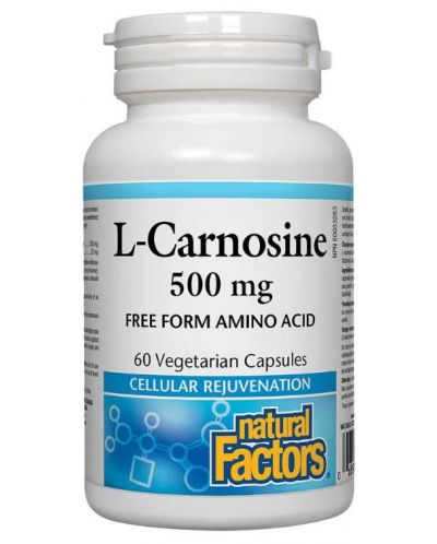 L-Carnosine, 500 mg, 60 капсули, Natural Factors - 1