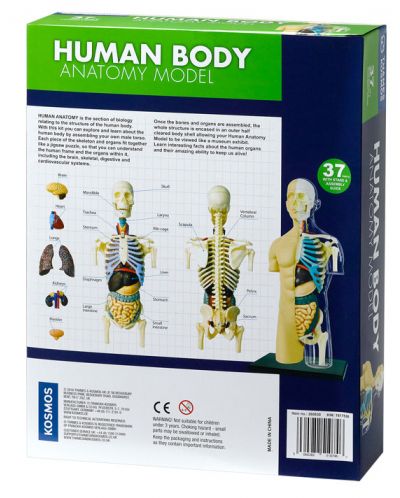 Детски комплект Kosmos - Анатомия на човешкото тяло - 6