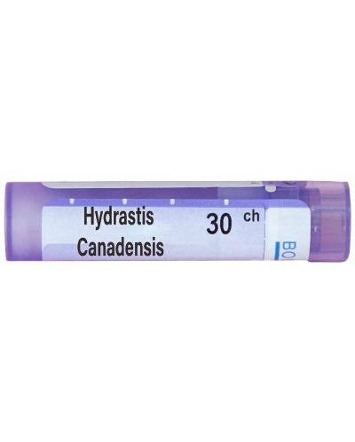 Hydrastis canadensis 30CH, Boiron - 1