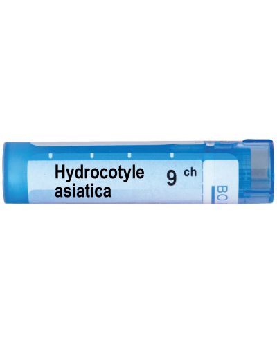 Hydrocotyle asiatica 9CH, Boiron - 1