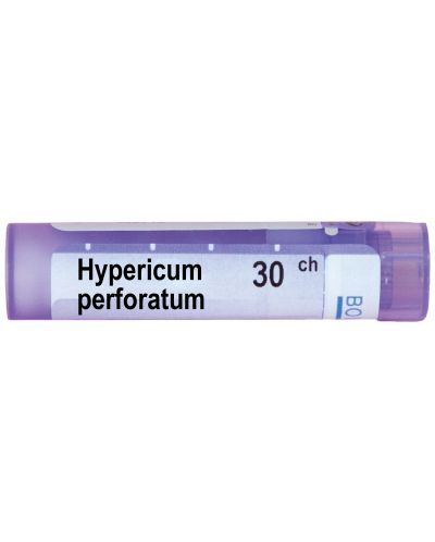 Hypericum perforatum 30CH, Boiron - 1
