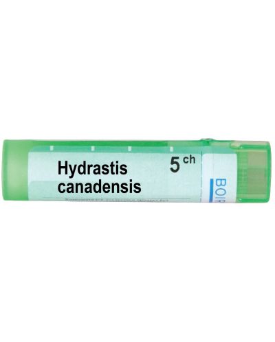 Hydrastis canadensis 5CH, Boiron - 1