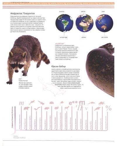 Илюстрована научна енциклопедия Британика: Бозайници - 7