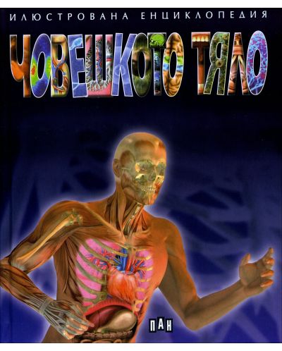 Илюстрована енциклопедия: Човешкото тяло (Пан) - 1