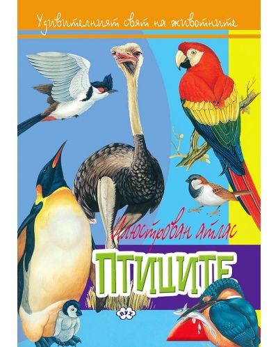 Илюстрован атлас: Птиците - 1