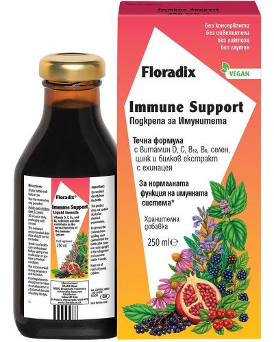 Immune Support, 250 ml, Floradix - 1