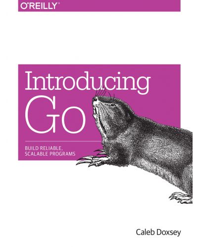 Introducing Go - 1