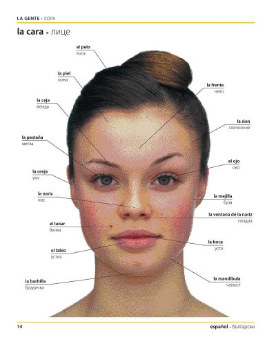 Испанско-български двуезичен картинен речник - 11