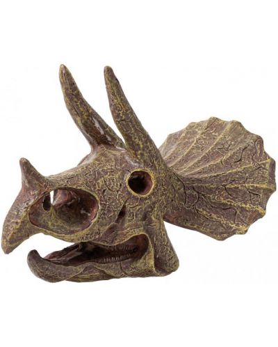 Изследователски комплект Buki Museum - Skull, Triceratops - 3
