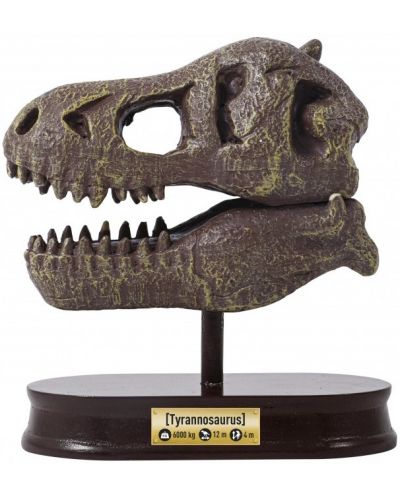 Изследователски комплект Buki Museum - Skull, T-Rex - 4