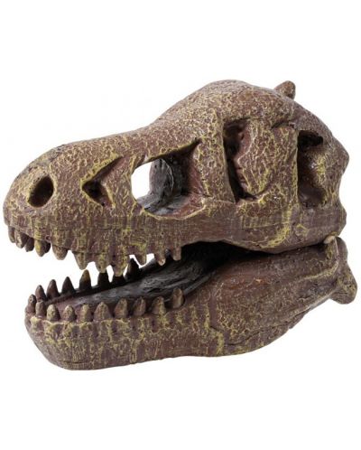 Изследователски комплект Buki Museum - Skull, T-Rex - 3