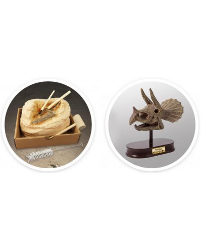 Изследователски комплект Buki Museum - Skull, Triceratops - 5