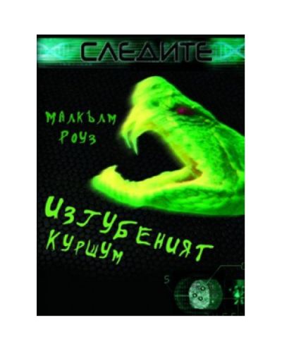 Изгубеният куршум