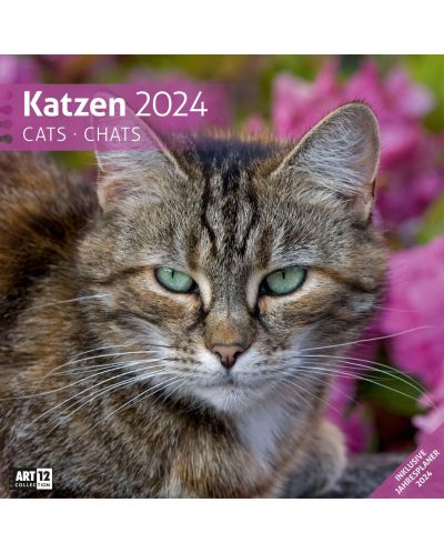 Календар Ackermann - Cats, 2024 - 1
