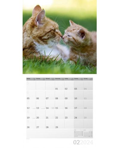 Календар Ackermann - Cats, 2024 - 3