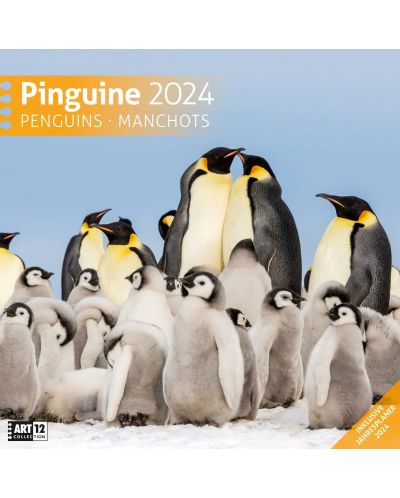Календар Ackermann - Penguins, 2024 - 1