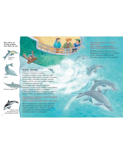 Как порастват малките делфини - 2