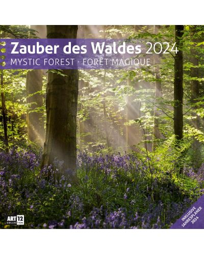 Календар Ackermann - Mystic Forest, 2024 - 1