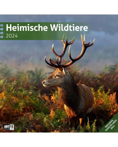 Календар Ackermann - Wild Animals of Germany, 2024 - 1