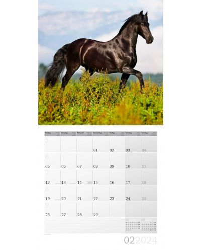 Календар Ackermann - Horses, 2024 - 3