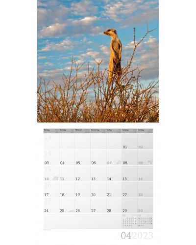 Календар Ackermann - Сурикати, 2023 - 5